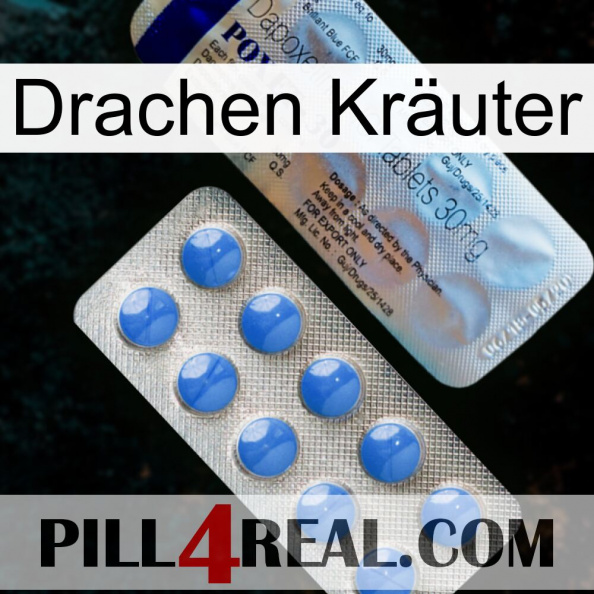 Drachen Kräuter 39.jpg